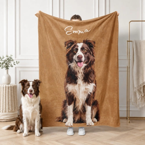  Windshield Banner