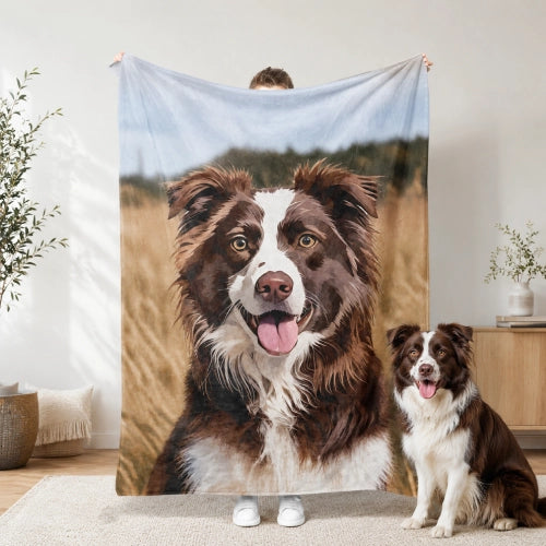  Windshield Banner