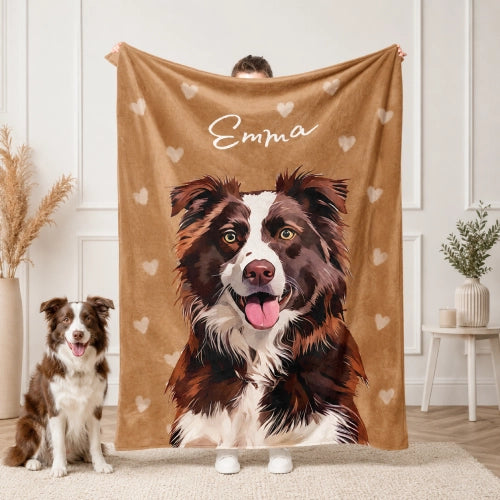  Windshield Banner