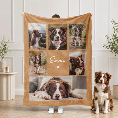  Windshield Banner