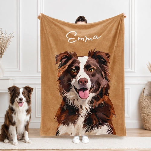  Windshield Banner
