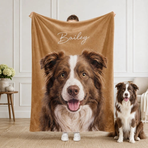  Windshield Banner